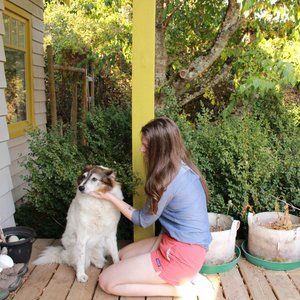 Meet your Posher, Lily